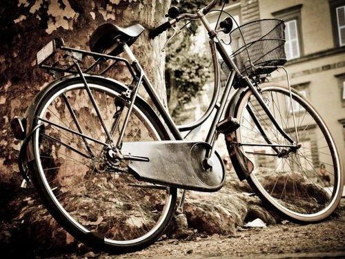 娱乐吃瓜酱自行车,自行车界的潮流新宠 第3张 娱乐吃瓜酱自行车,自行车界的潮流新宠 第3张