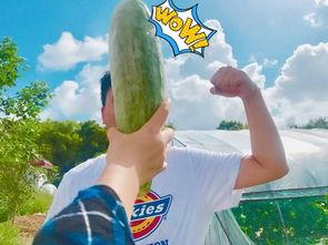 小网红吃瓜,揭秘娱乐圈幕后真相 第1张 小网红吃瓜,揭秘娱乐圈幕后真相 第1张