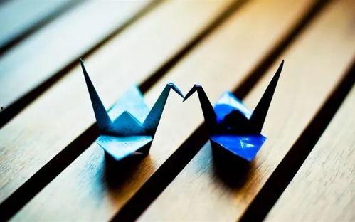 千纸鹤最新爆料图片大全,图片大全揭秘幕后故事  第2张