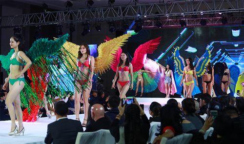 金川选美大赛爆料视频,精彩瞬间与幕后花絮大曝光